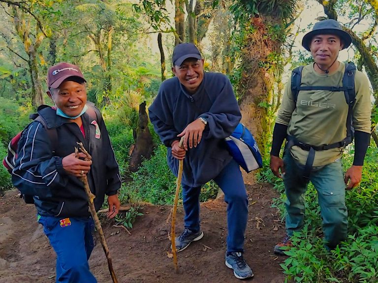 Morning Jungle Trekking